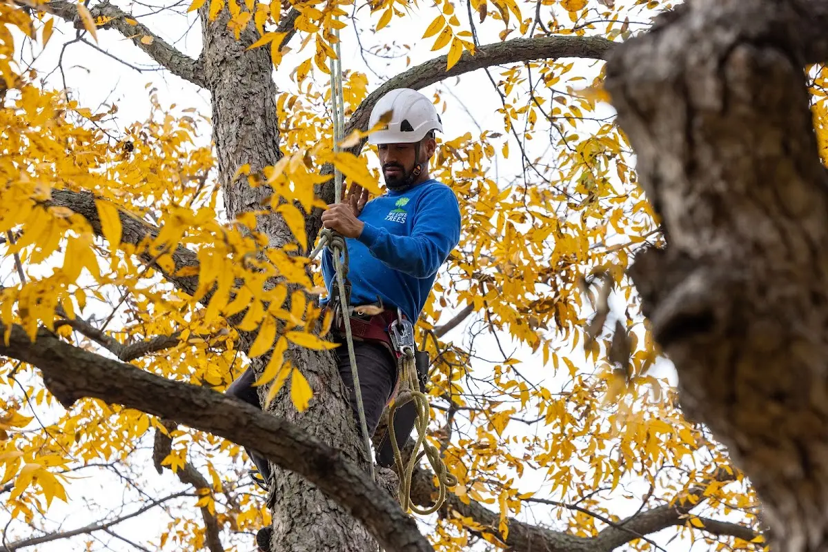 Skilled Storm Damage Cleanup crew working in Manquin